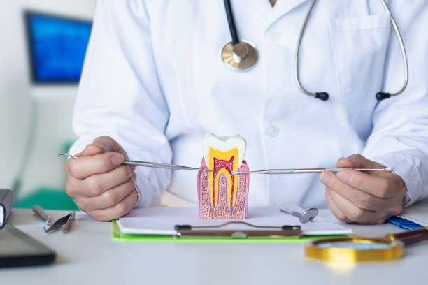 Best Tooth Infection Emergency Dentist  in Mcalester, OK